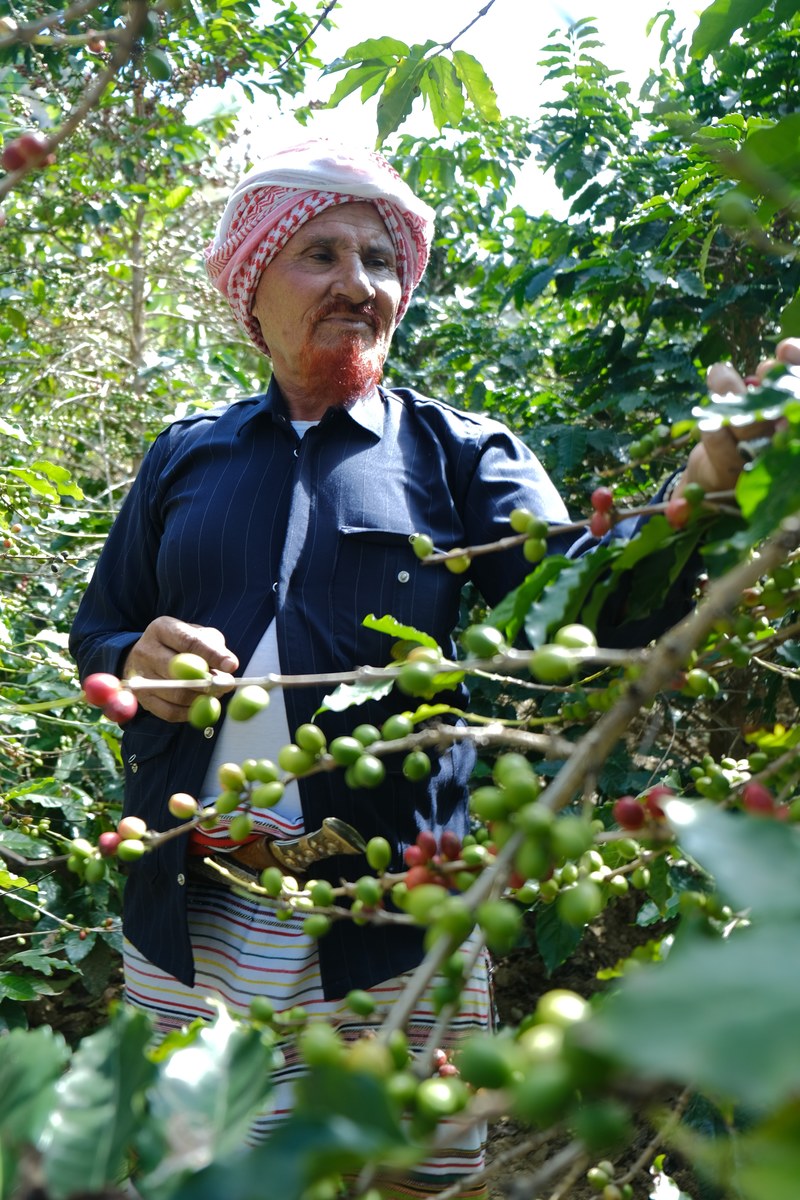option_2_coffee_farmers_in_jazan_show_off_their_produce._arab_news.jpg