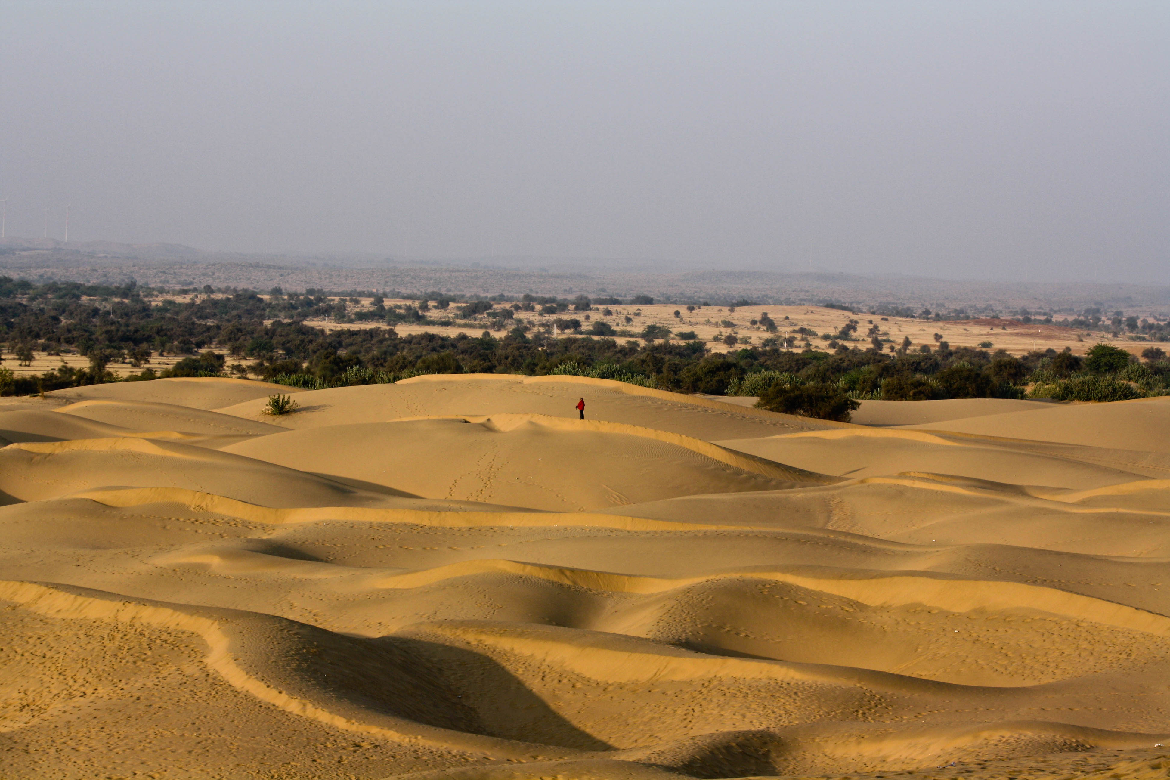 Thar_desert_Rajasthan_India.jpg
