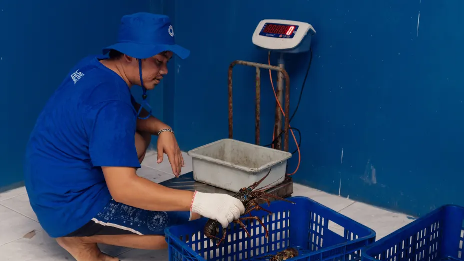 To date, fishery start-up Aruna has exported 44 million kilograms of seafood into seven countries last year, most of them to the U.S. and China.