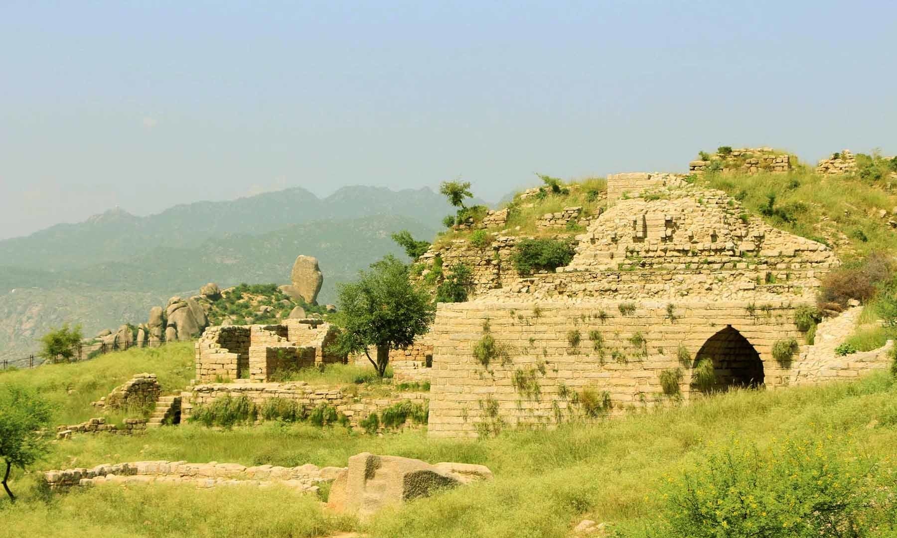 Rani's palace, Rani Gut is clearly visible in the back; photo by Amjad Ali Sahab