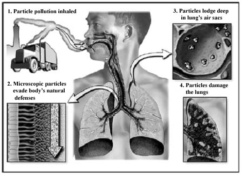 emde_vol1no12_particlepollution_full.jpg