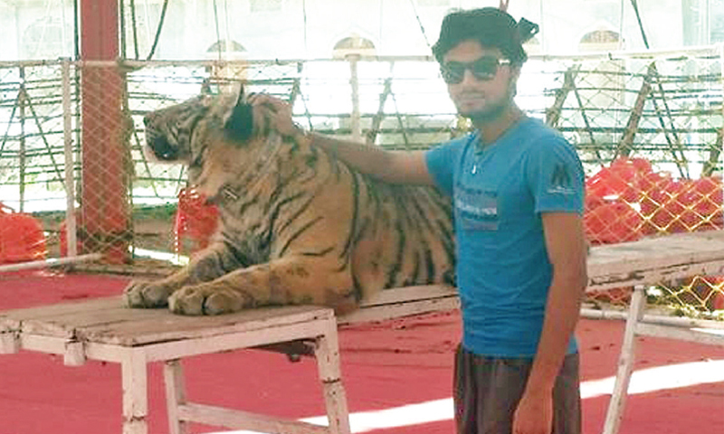   Bilal Hussain stands with a tiger.