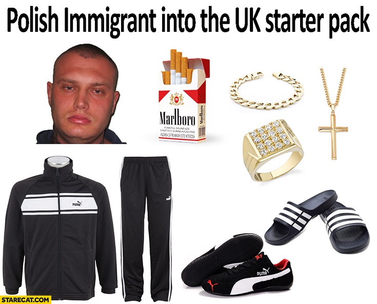 polish-immigrant-into-the-uk-starter-pack.jpg