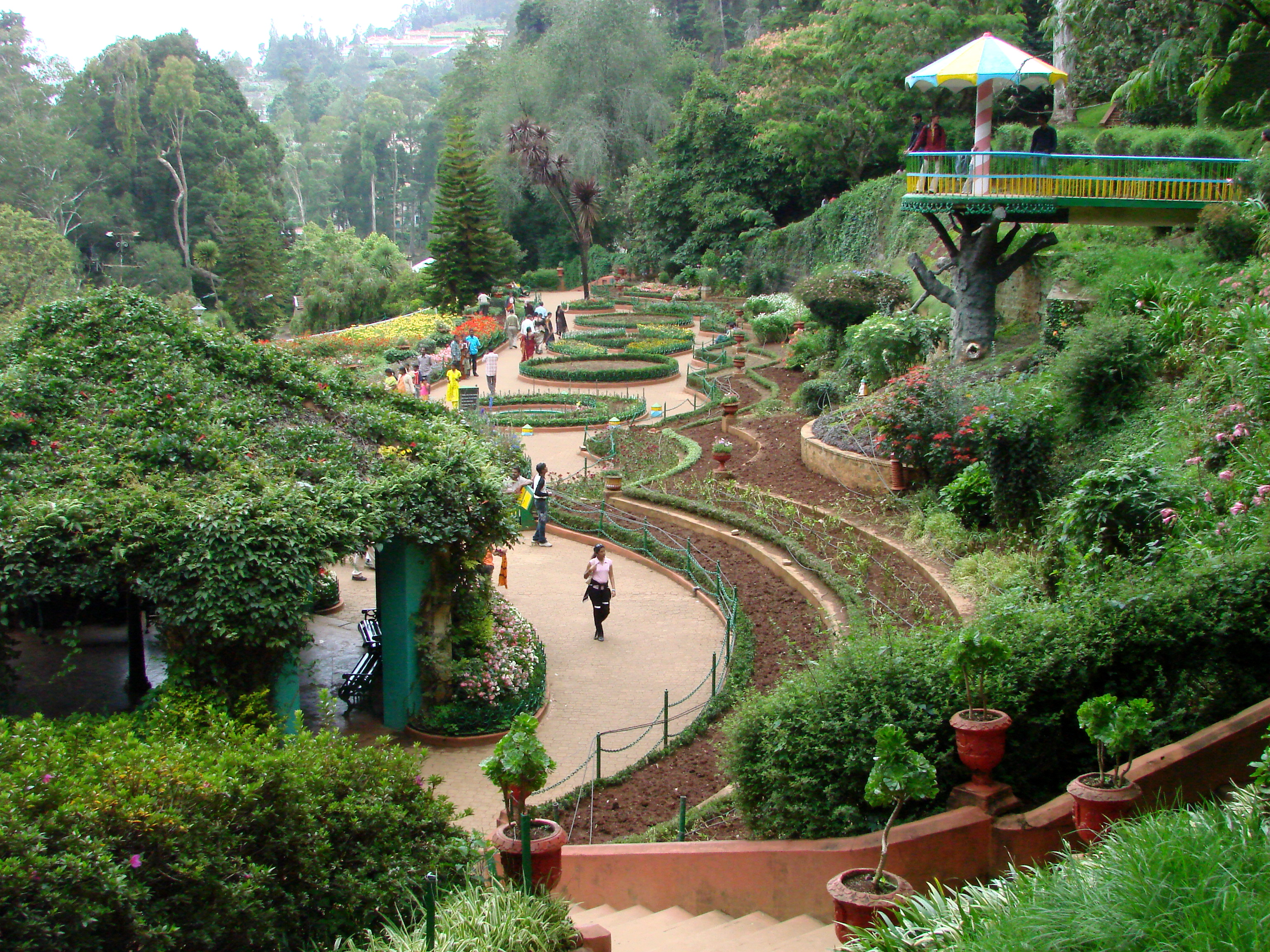 Botanical_Gardens_-_Ootacamund_(Ooty)_-_India_03.JPG