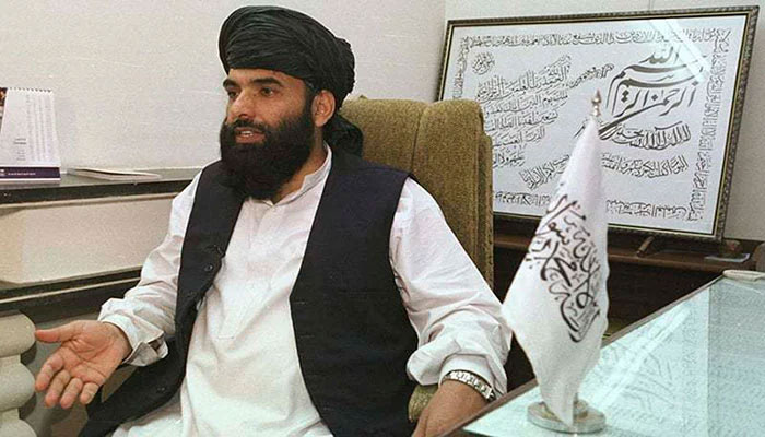 Talibans spokesperson Suhail Shaheen. Photo: file