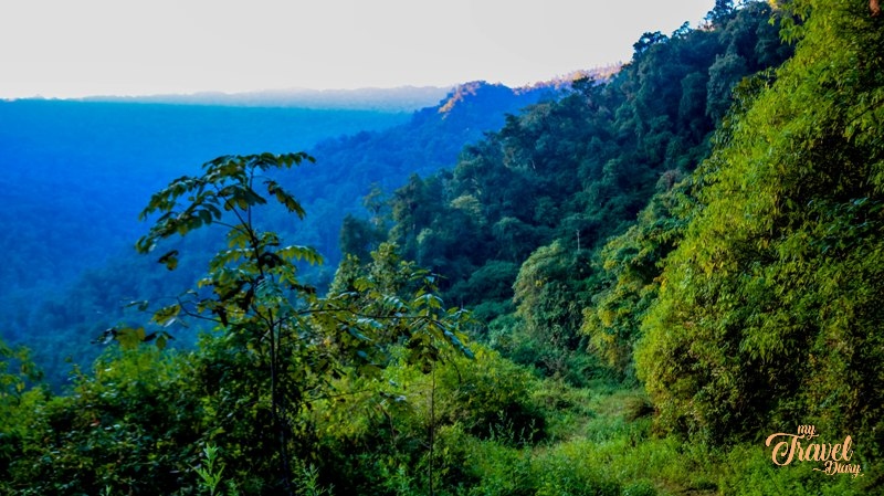 Forested-Area-of-Mandala-Top.jpg