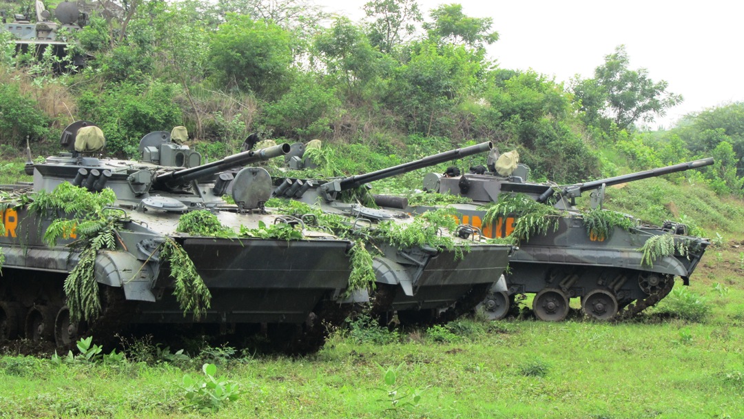 BMP3F_citrapersada.JPG