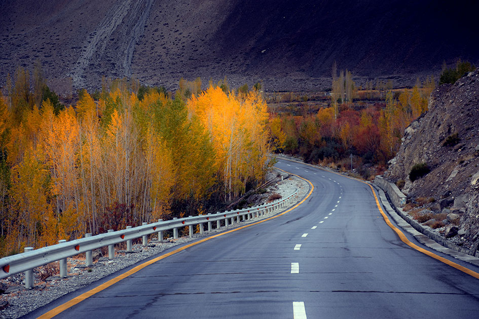 A-Dreamy-Road.jpg