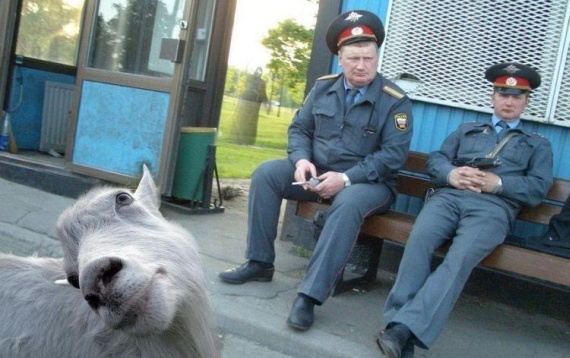 08.jpg