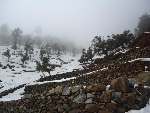 laram-ghar-thana-mkd-after-snow-fall.jpg