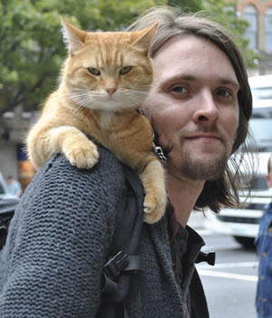 streetcatbob.jpg