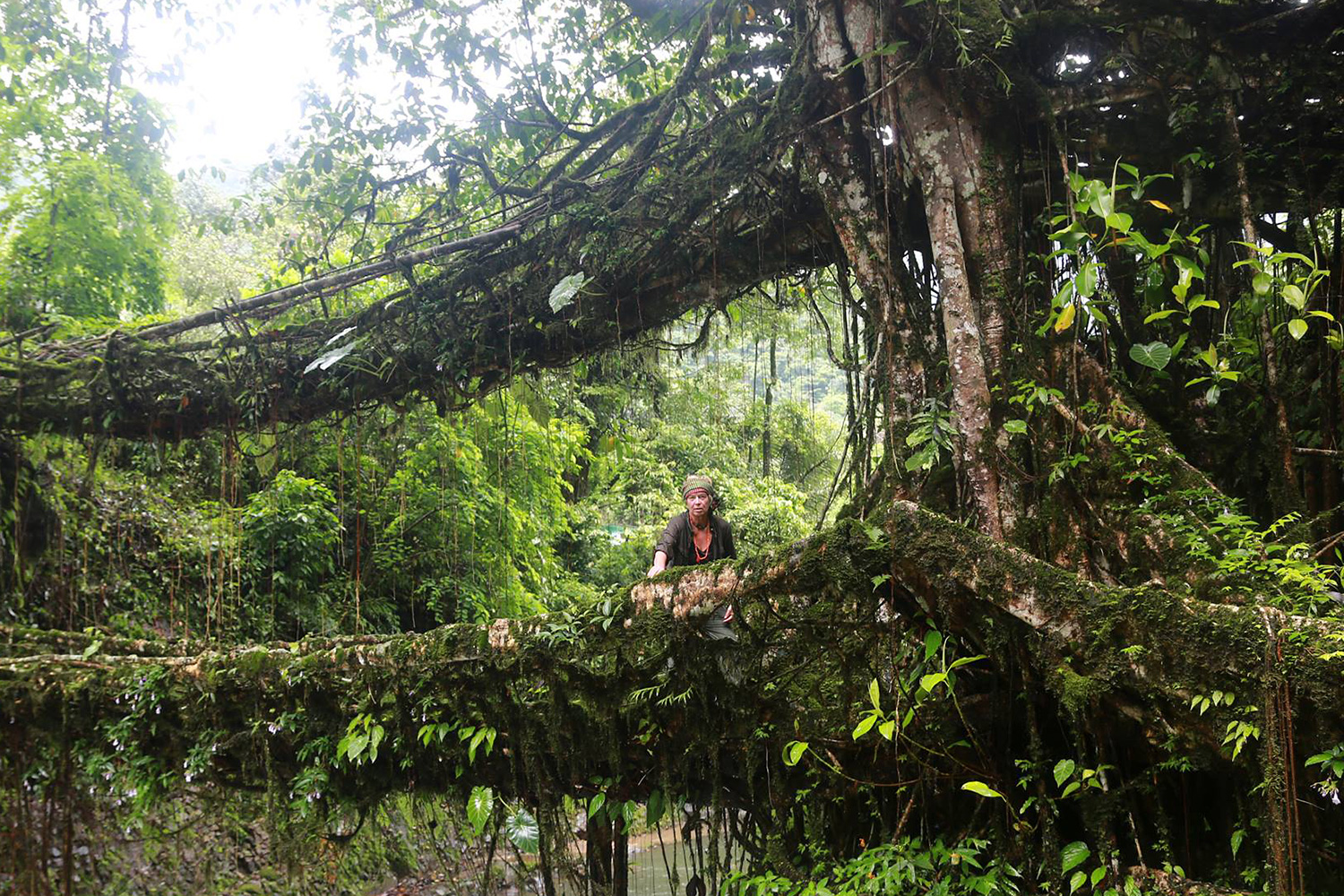 double-decker-living-root-bridge-cheerapunjee-megahalya-india-ulli-maier.jpg