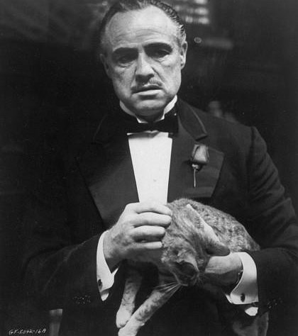 Godfather_Brando_cat.jpg