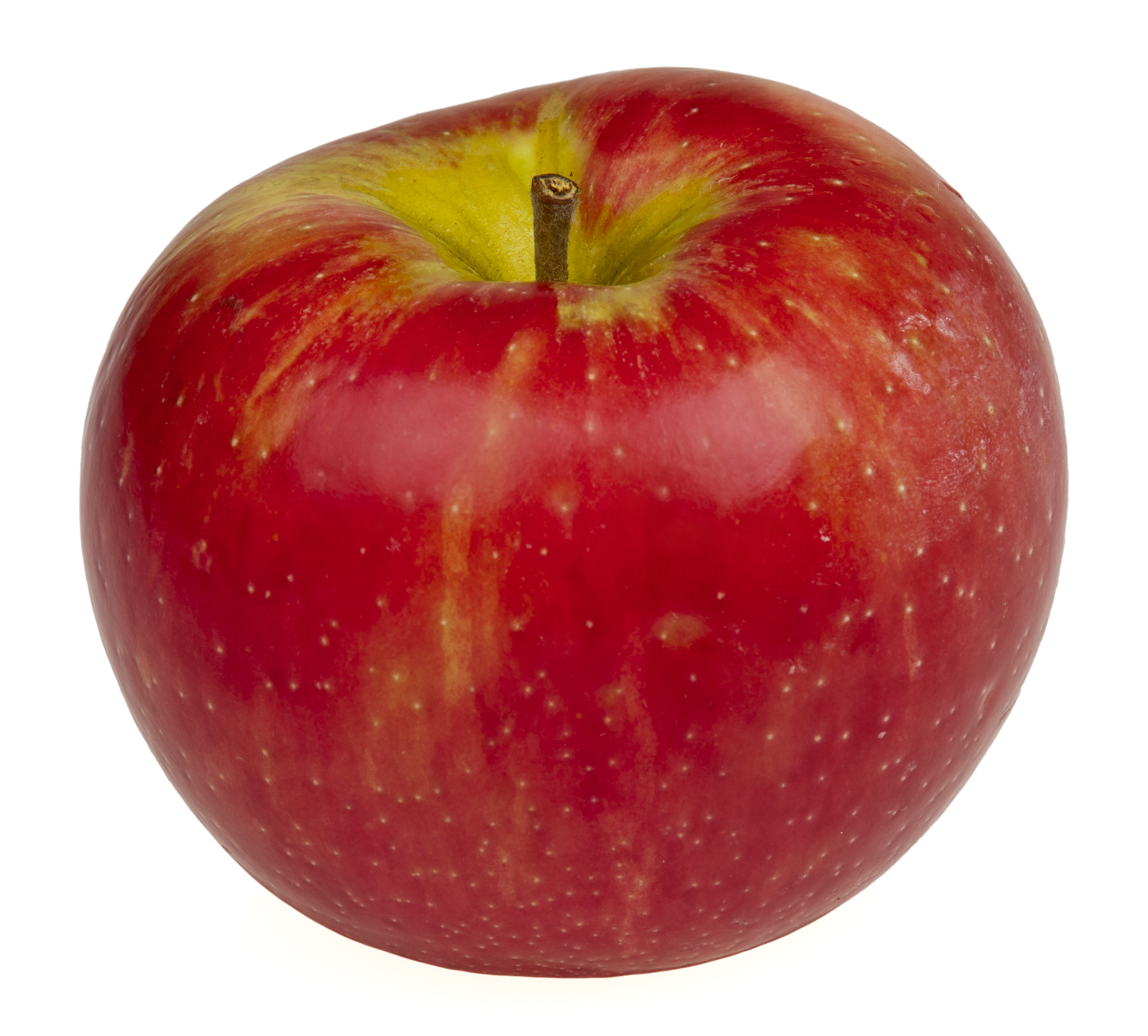 Honeycrisp-Apple.jpg