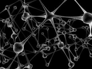 1043922_network_neurons_1.jpg