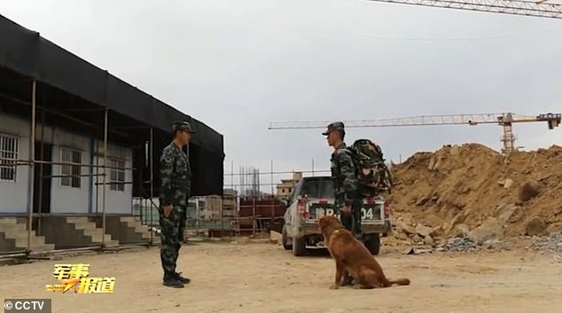 Mr Jia was due to retire recently after serving the Chinese army for eight years, according to a report by state broadcaster CCTV. The soldier (pictured right) is seen handing over his dog