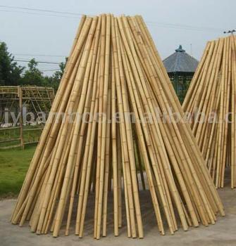 bamboo_pole_cane_stick_stake.jpg_350x350.jpg