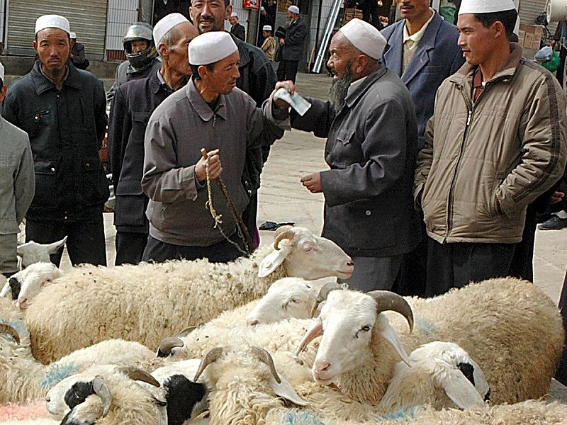 haggling+for+sheep.jpg