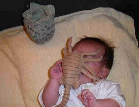 baby-facehugger-alien.jpg