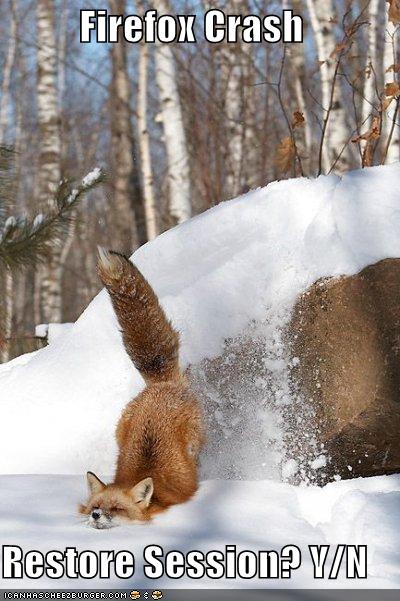 funny-pictures-firefox-crash-snow.jpg