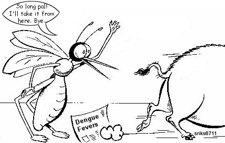 dengue%20fever%20rise%20-%20malaria%20ganya%20swine%20flu%20-%20mosquito%20goodbye%20pig%20-%20am%20there%20-%20sridhar-sunday-20091025-1.jpg