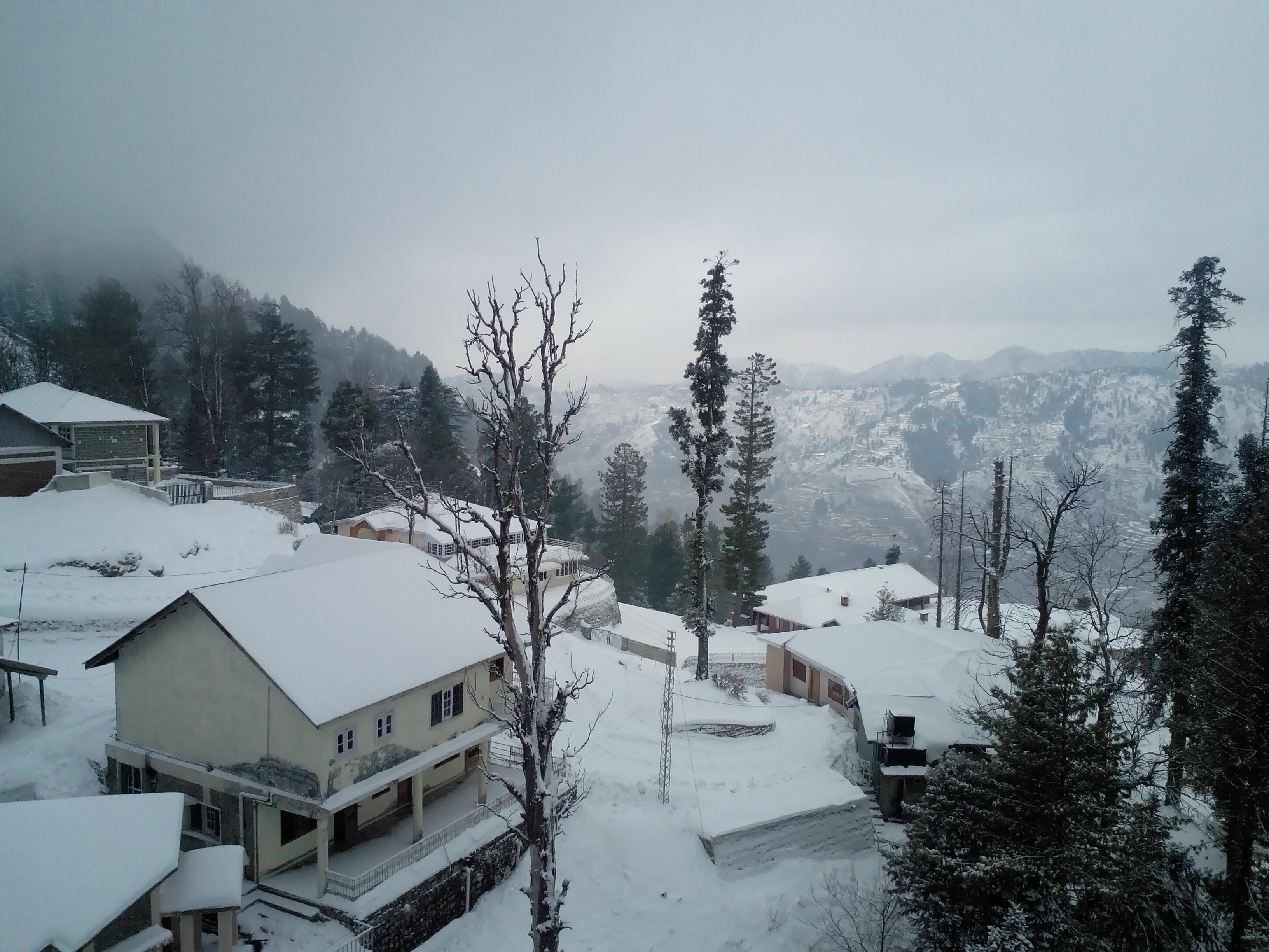 Jheeka_Gali_Murree_Pakistan_in_Winter.jpg