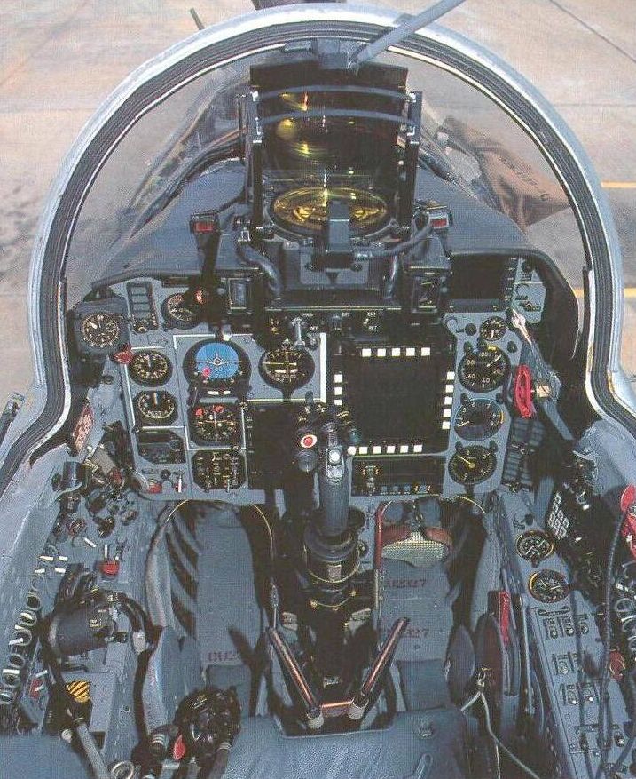 mig21bison-cockpit01.jpg