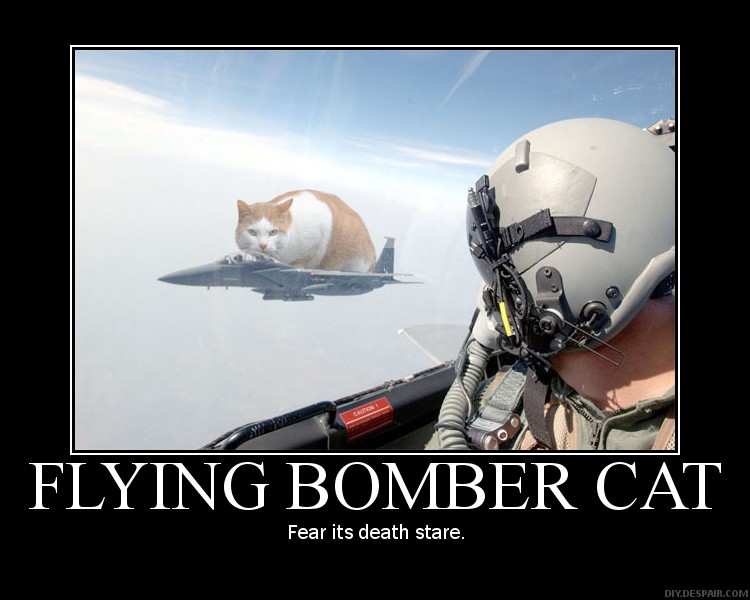 Flying_Bomber_Cat_by_Bowserkills7.jpg