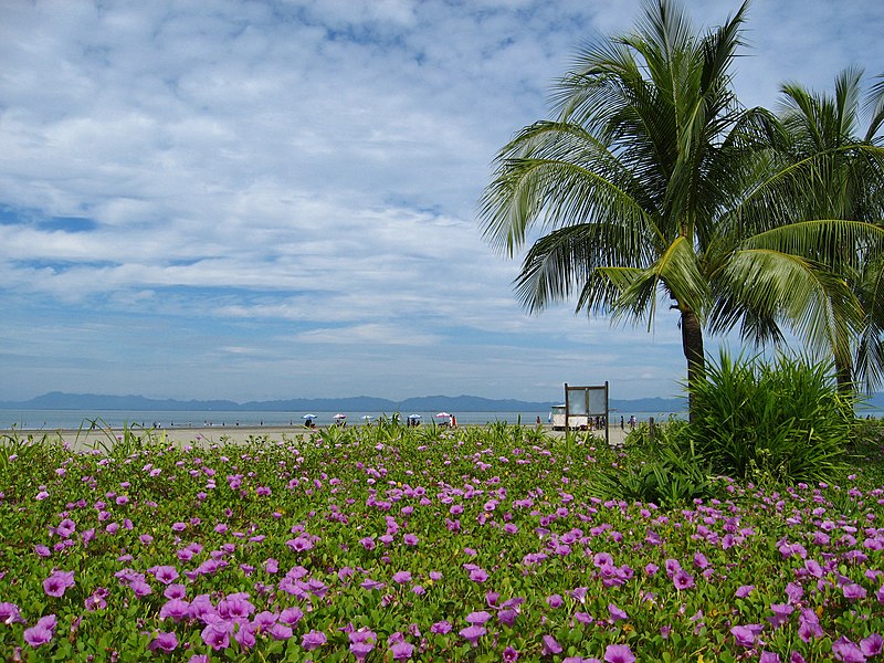 800px-Saint_Martin%27s_Island.JPG