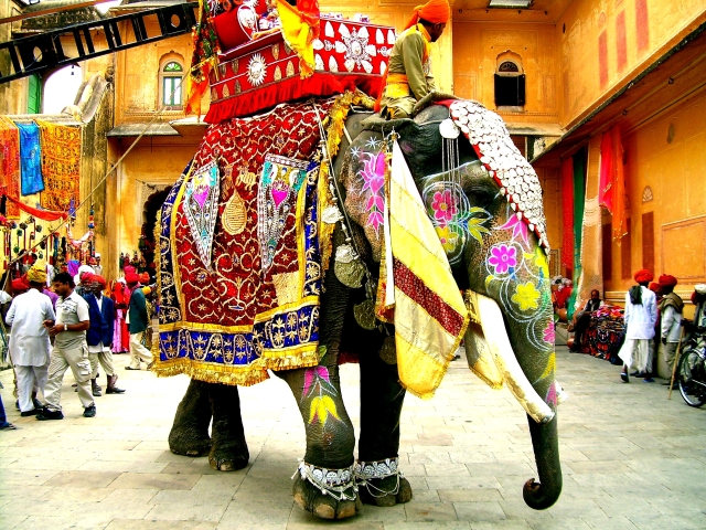 decorated_indian_elephant.jpg