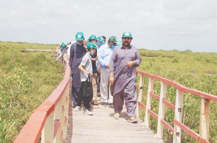 Forest Minister Nasir Hussain Shah visits Keti Bunder | Courtesy Sindh Forest Ministry