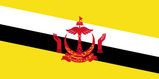320px-Flag_of_Brunei.svg.png