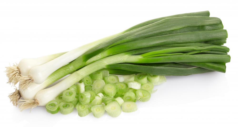 spring-onion.jpg