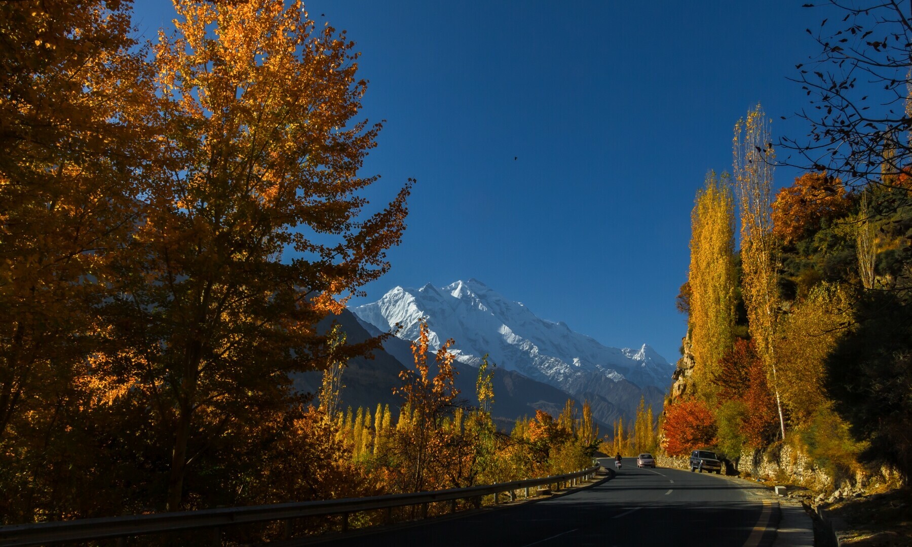 The Rakaposhi peak surrounded by the autumn trees from Karakorum Highway