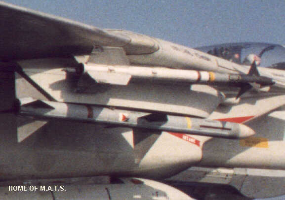 f14-detail-aim079-02l.jpg