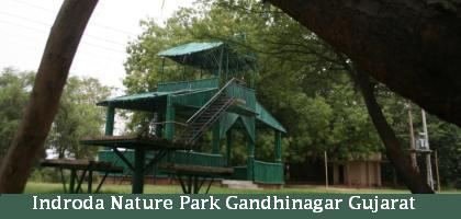 Copy_Of_Natural_Park_Nri_Gujarati_India_Gujarat_News_Photos_926.jpg