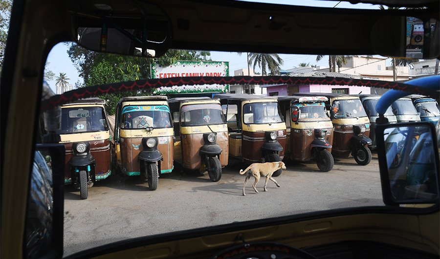 dog_rickshaw.jpg