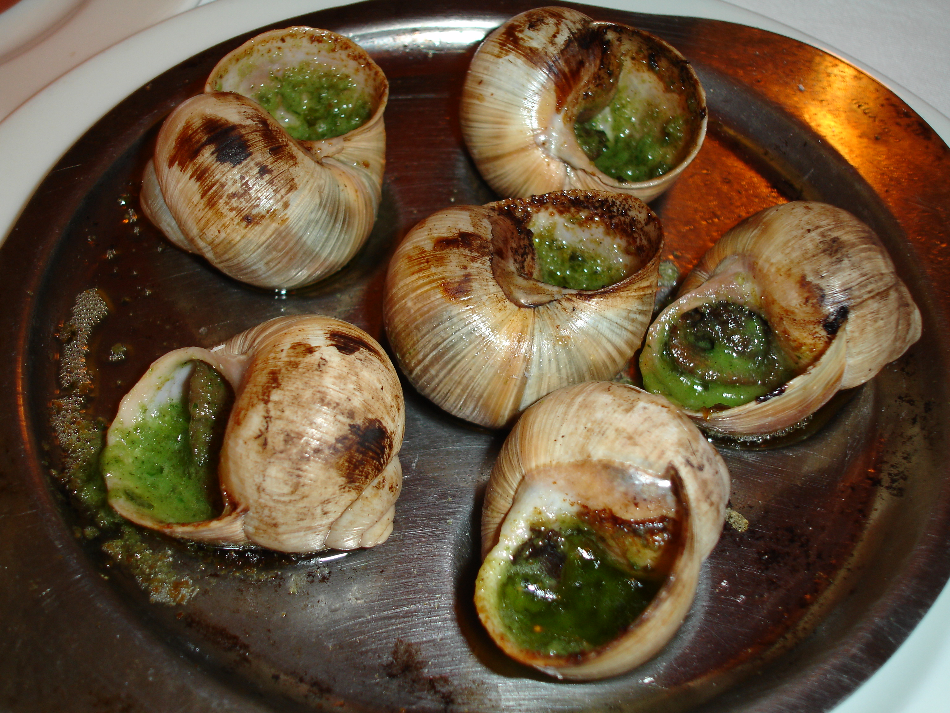 Cooked_snails.JPG