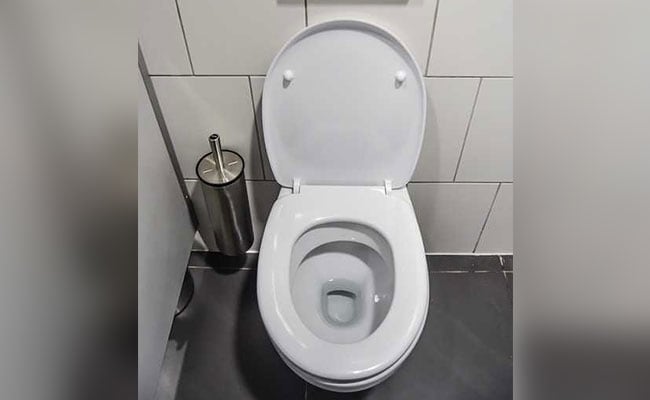 toilet-generic-pixabay-650_650x400_71519208158.jpg