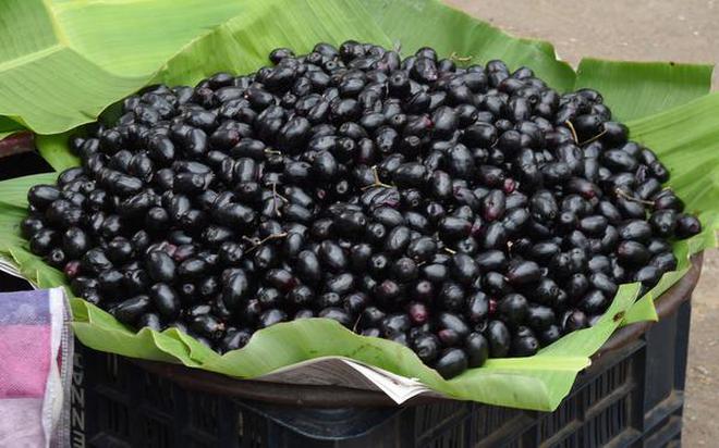 JAMUN