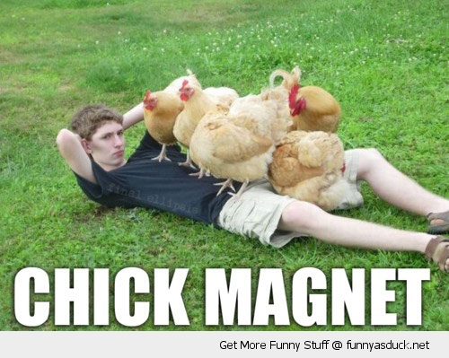 funny-geek-nerd-chickens-chick-magnet-pics.jpg