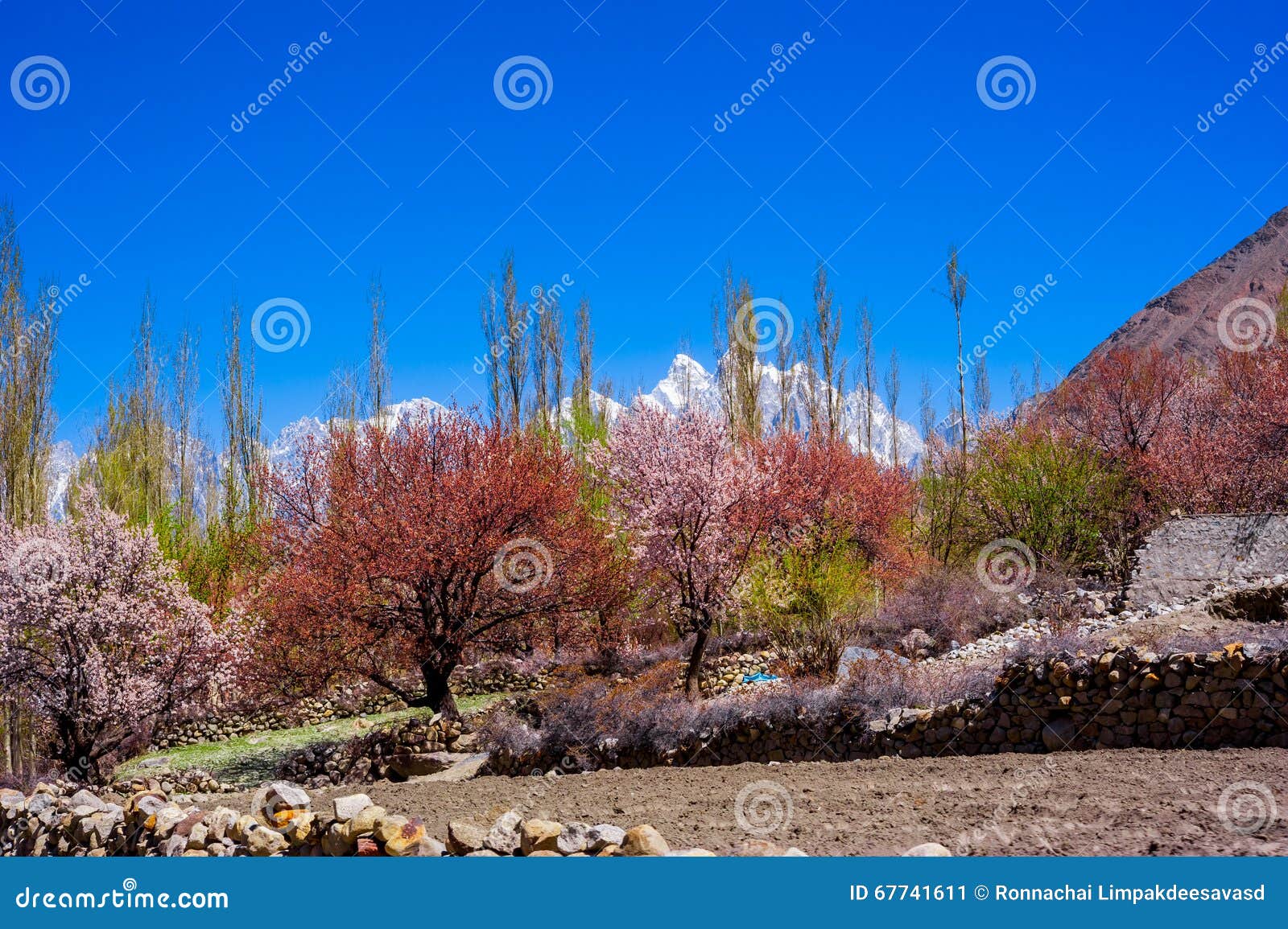 beautiful-landscape-hunza-valley-spring-season-northern-area-pakistan-67741611.jpg