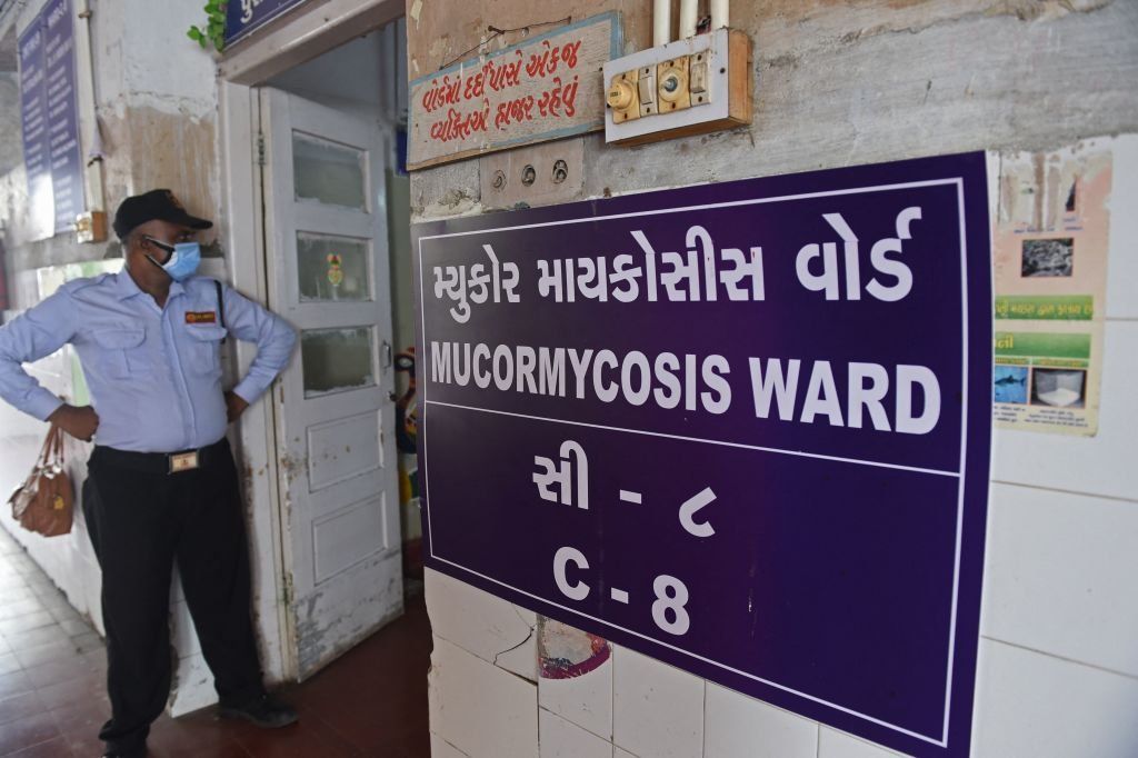 With rising cases, special wards have been set up for mucormycosis patients