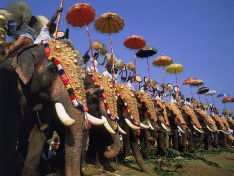 david-ball-the-great-elephant-march-trissur-kerala-india.jpg