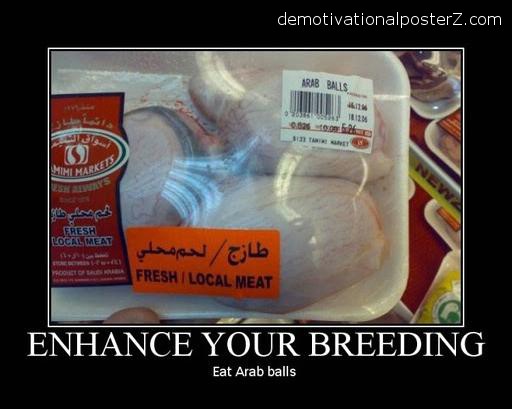 arab%2Bballs%2Bdemotivational%2Bposter.jpg