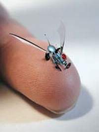 robotic-fly.jpg