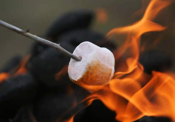 marshmallow.jpg