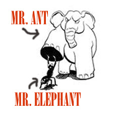 elephant1.jpg