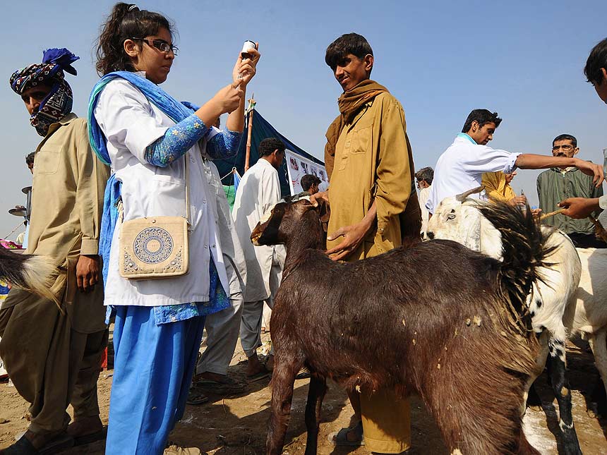 eidul-azha-4.jpg