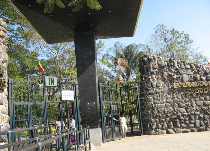 mysore-zoo-b.jpg